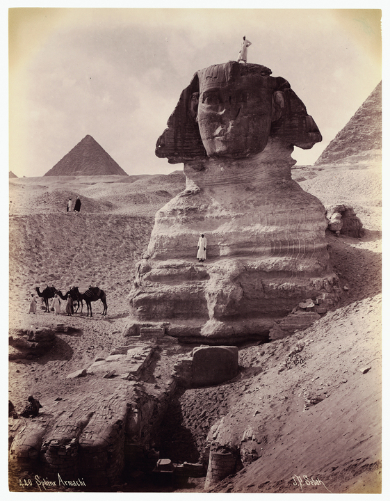 Coleccionar fotografía del siglo XIX