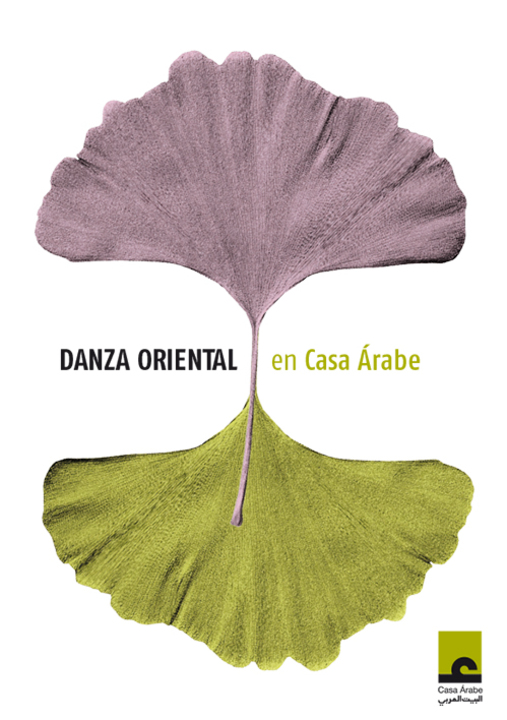 Danza oriental en Córdoba