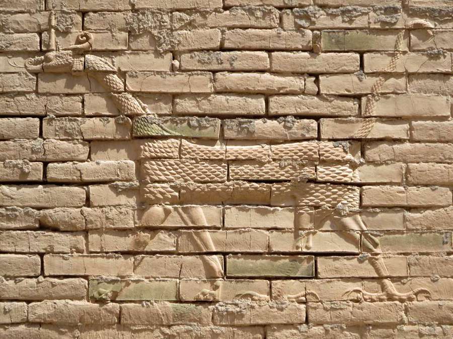 Género, minorías y refugiados en Iraq