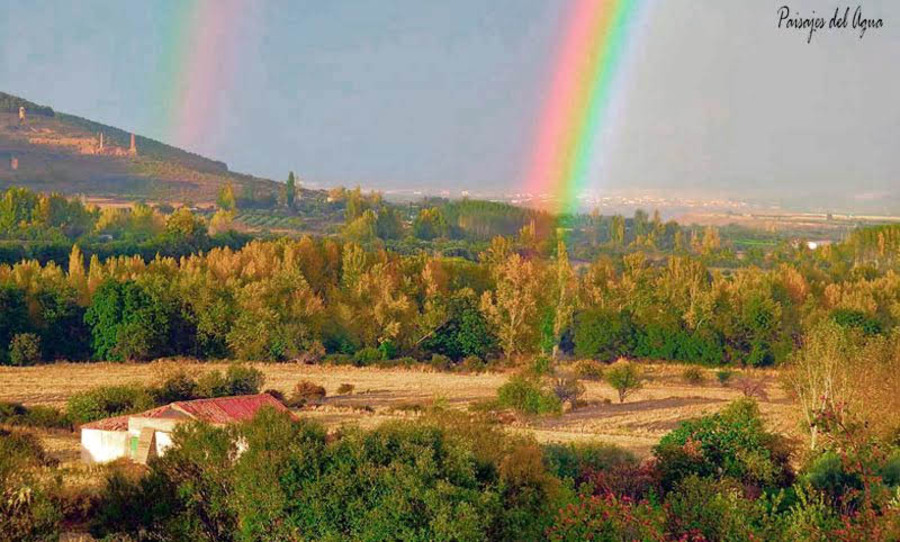 Hacia una red euro-árabe-africana de diálogo interreligioso y acción social