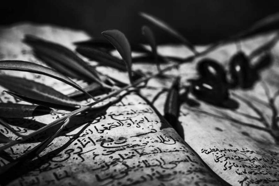 Kitāb al-Filāḥa (El Libro de la Agricultura) y la Alpujarra