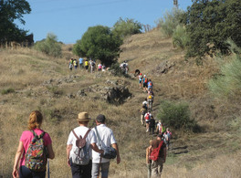 Ruta de senderismo: "Camino de los Nogales, hasta Madinat al-Zahra" 