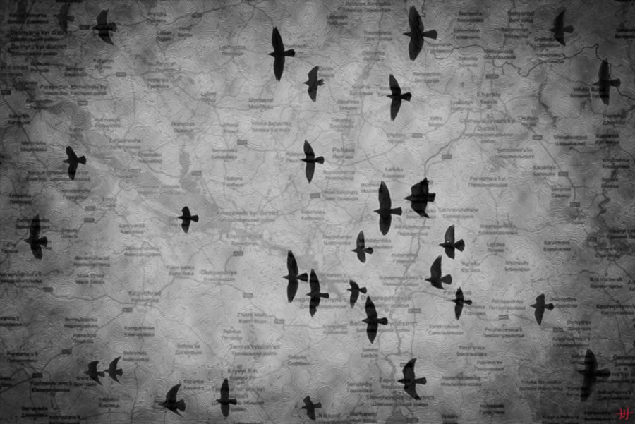 Alianzas y antagonismos: Rusia y EEUU en Oriente Medio