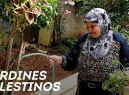 "Jardines Palestinos" y "Yallah, yallah" 