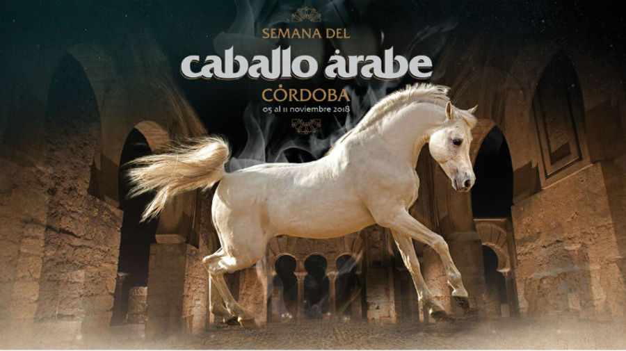 Semana del caballo árabe en Córdoba 