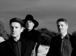 Paxariño Trío en concierto