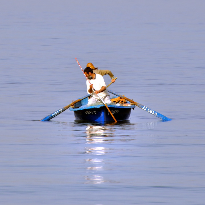 ¿Hacia dónde va Argelia?