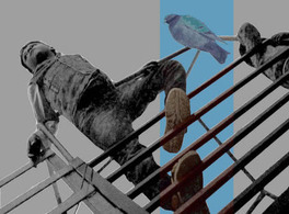 Cine: "Sólo las palomas vuelan", de Concha Fernández 