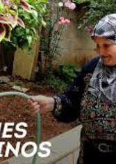 "Jardines Palestinos" y "Yallah, yallah" 