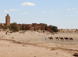 La adaptación al cambio climático en la región MENA: prácticas y lagunas 