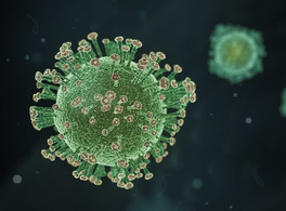 El impacto del coronavirus en los países árabes 