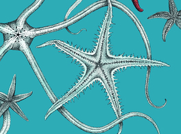 "Mediterráneo, motivos para comenzar el viaje"