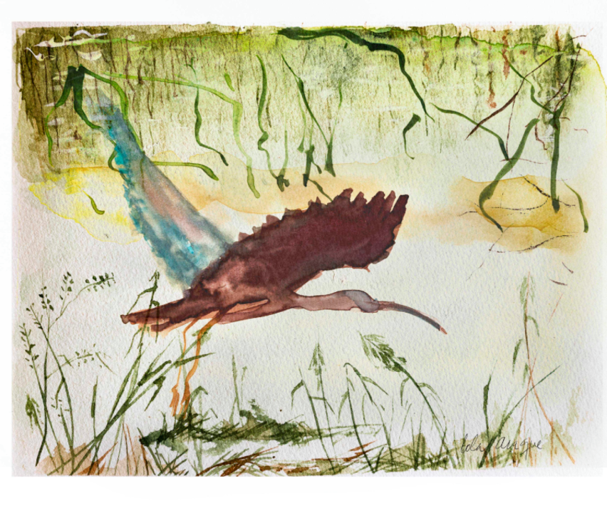 Taller de ilustración "El Guadalquivir y el agua en Córdoba"