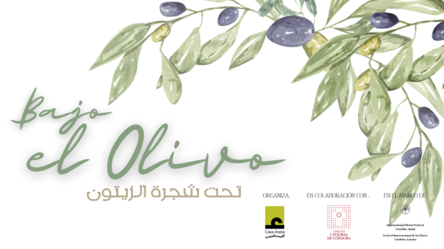 Concierto "Under the Olive tree" (Bajo el olivo)