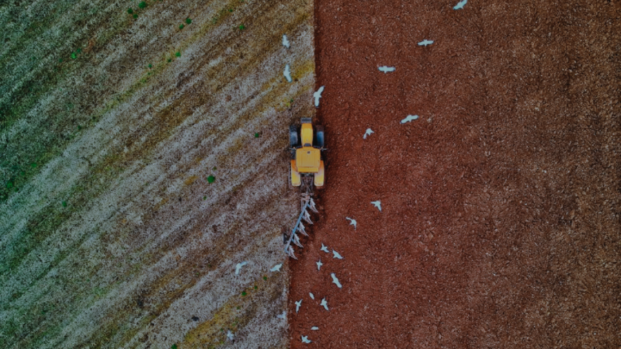 Países árabes: una inseguridad alimentaria en ciernes