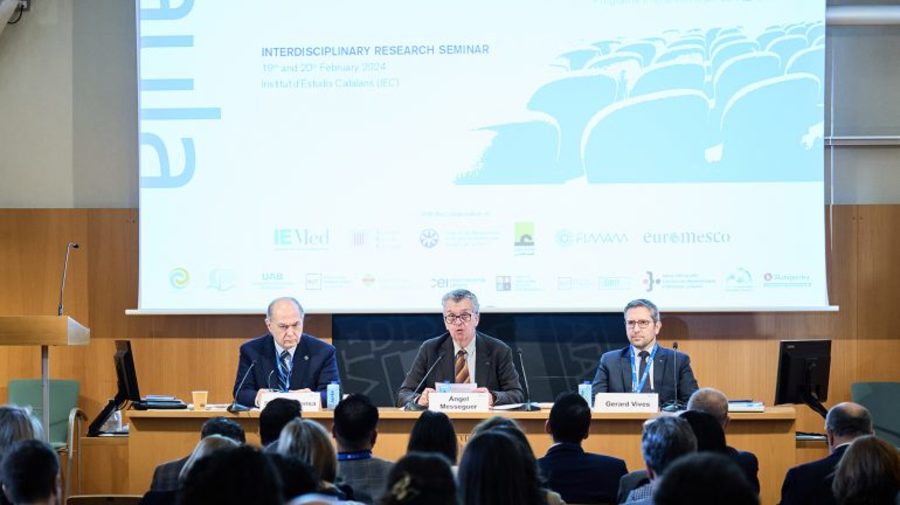 Instrumentos para incentivar la investigación y la formación académica sobre el Mediterráneo