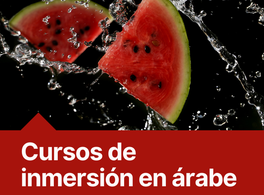 Curso de inmersión en árabe. Este verano, ¡disfruta y aprende!