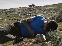 Cine: "No other land"