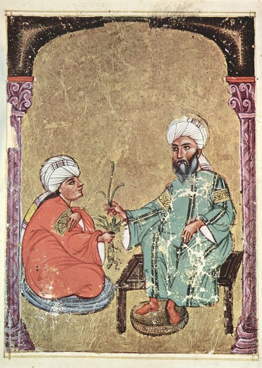 Ibn Yulyul: médico y farmacólogo andalusí de la corte omeya cordobesa