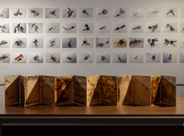 Las mejores propuestas del primer semestre de 2025