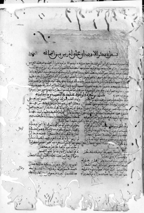 Ibn Shuhayd: ingenio, sátira y modernidad en la poesía andalusí