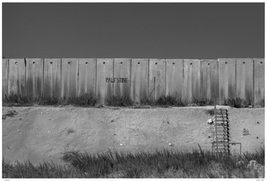 Conducir por Palestina | التحرّك في فلسطين
