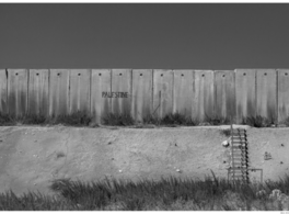 Conducir por Palestina | التحرّك في فلسطين