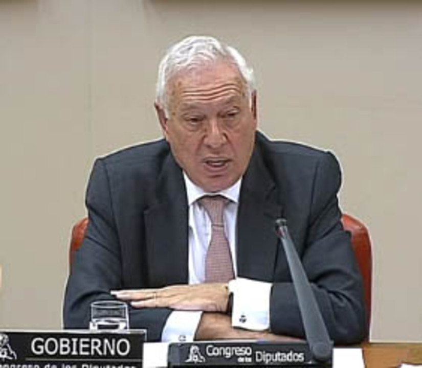 Comparecencia del Ministro de Asuntos Exteriores sobre la situación en Gaza