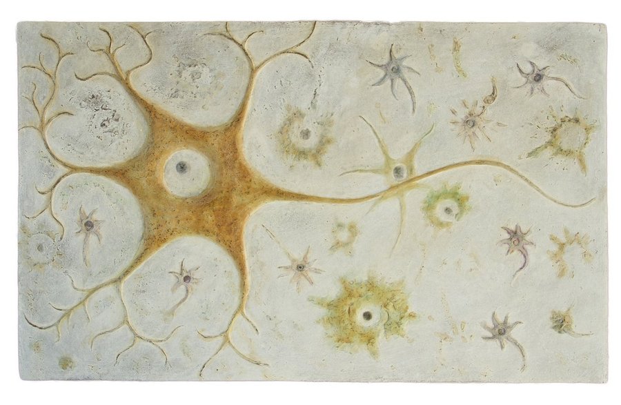 Exposición "Mariposas del alma"