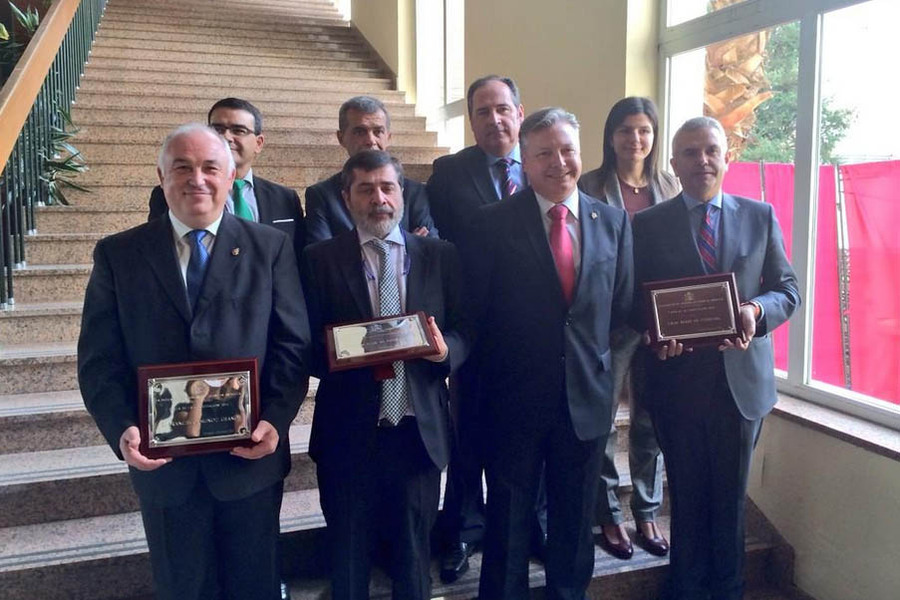 Casa Árabe, galardonada con el premio Plaza de la Constitución