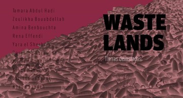 Exposición Waste Lands / Tierras devastadas